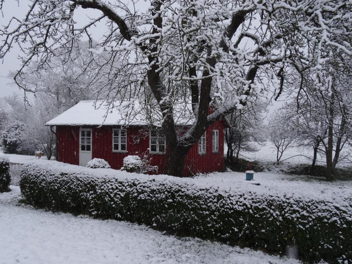 Hansenhof Kappeln Esterno foto