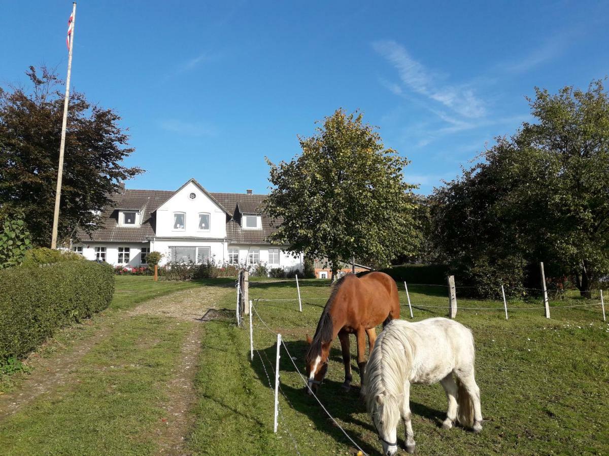 Hansenhof Kappeln Esterno foto